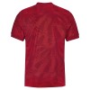 Original Fußballtrikot Birmingham City Ausweichtrikot 2025-26 Für Herren
